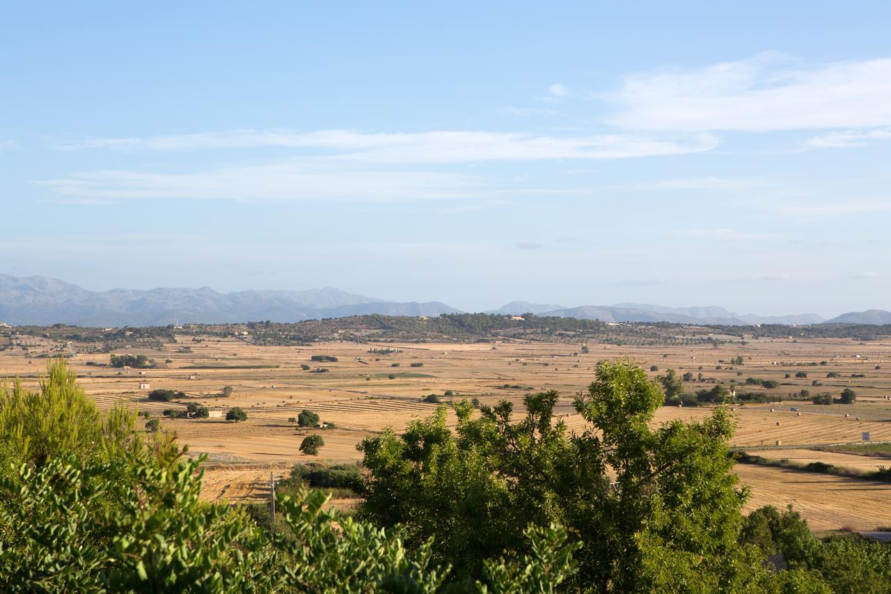 Casa Font I Roig Hotell María de la Salud Exteriör bild