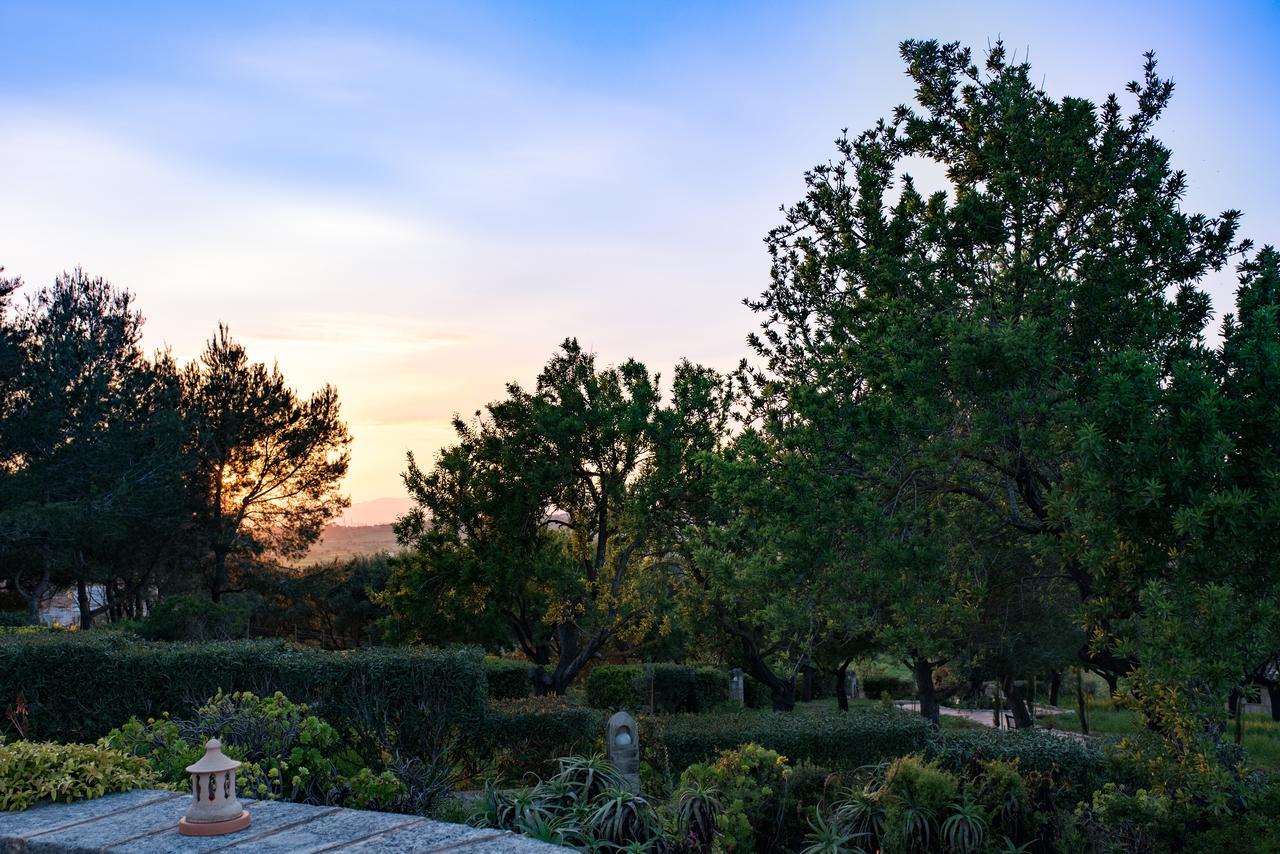 Casa Font I Roig Hotell María de la Salud Exteriör bild